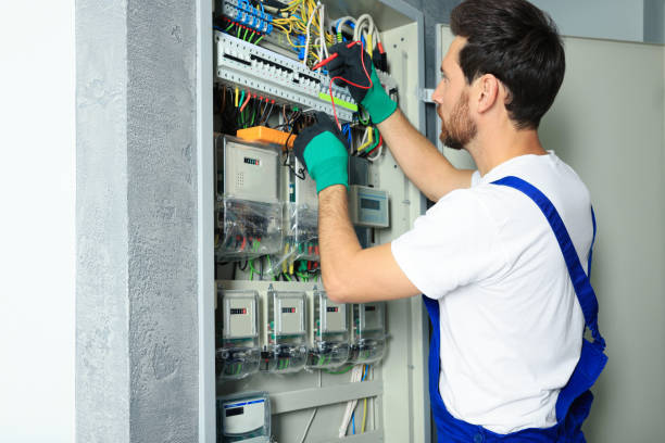 Best Ceiling Fan Installation Electrician  in Coats Bend, AL